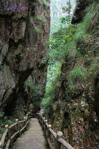 "...天飘降，轻柔，飘忽，无声无息……与雄伟壮阔的悬崖背景，刚柔并济，奇妙地融为一体，真叫人叹为观止_广东大峡谷"的评论图片