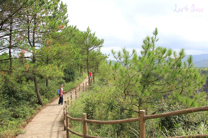 "...天飘降，轻柔，飘忽，无声无息……与雄伟壮阔的悬崖背景，刚柔并济，奇妙地融为一体，真叫人叹为观止_广东大峡谷"的评论图片