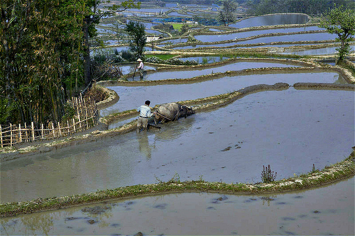 乡土气息图片,乡土气息,乡村风貌乡土气息图片(第6页)_大山谷图库