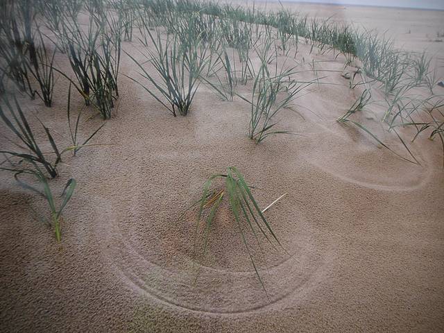 蒙特利尔生物圈