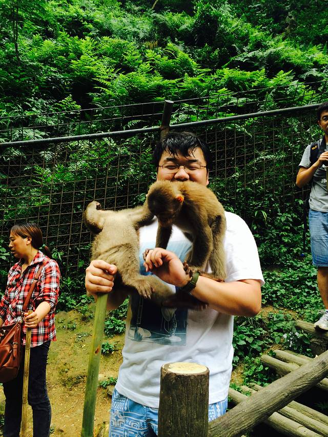 美不胜收的成都