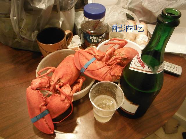 走走停停看美国