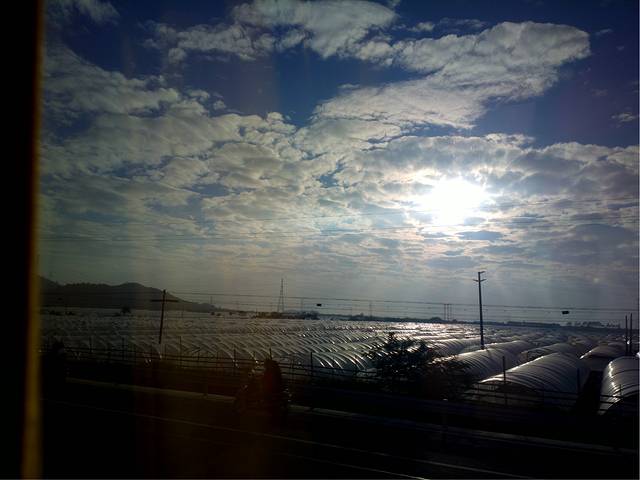 蒂蒂香達濠魚丸