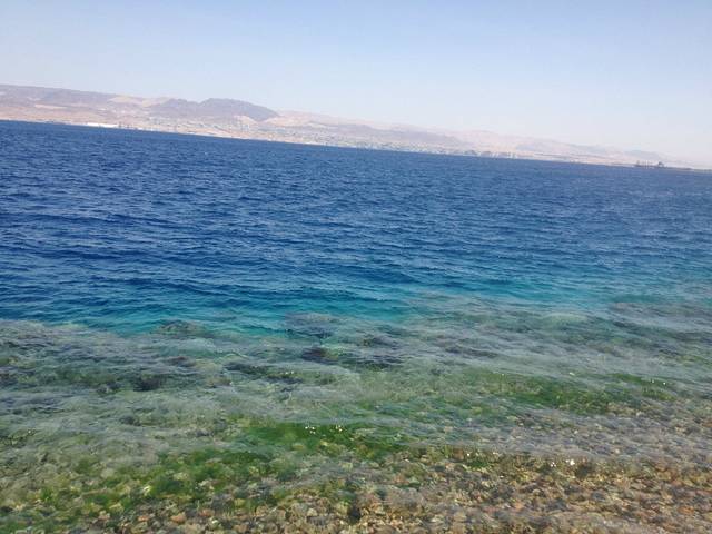 去约旦参加穆斯林的婚礼