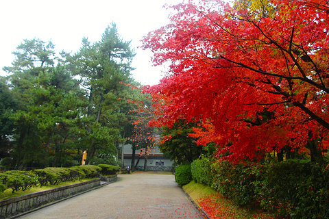 2017【名古屋旅游攻略】名古屋自助游_周边游
