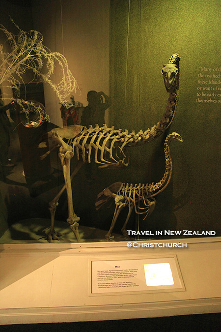 坎特伯雷博物馆