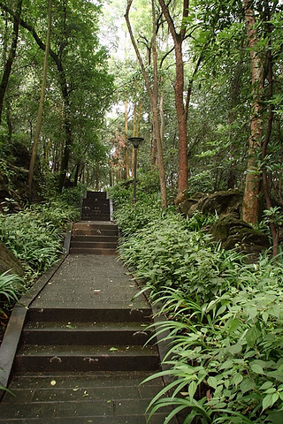 林园现在是在解放军重庆通信学院内位于重庆市歌乐山双河街道处有去