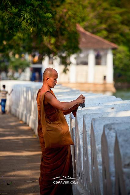 印度洋的眼泪——斯里兰卡六日自由行