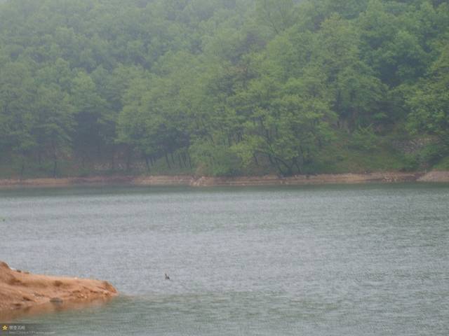 药乡国家森林公园