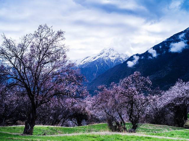 雅鲁藏布大峡谷