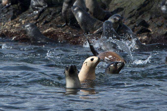大洋港图片 大洋港图片
