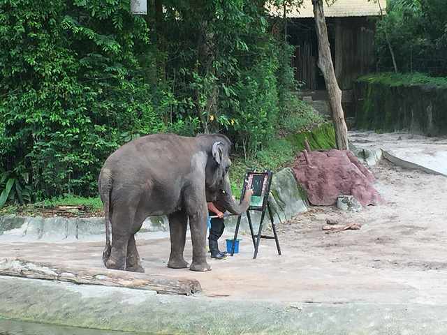 2018到达后,在新加坡动物园门口的售票处,将打