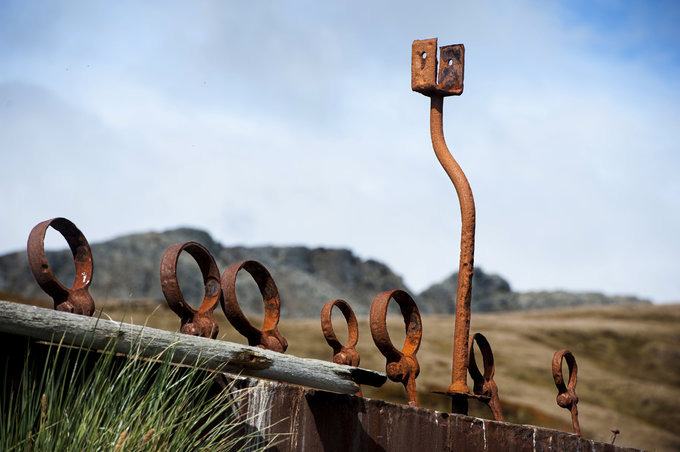 大洋港图片 大洋港图片
