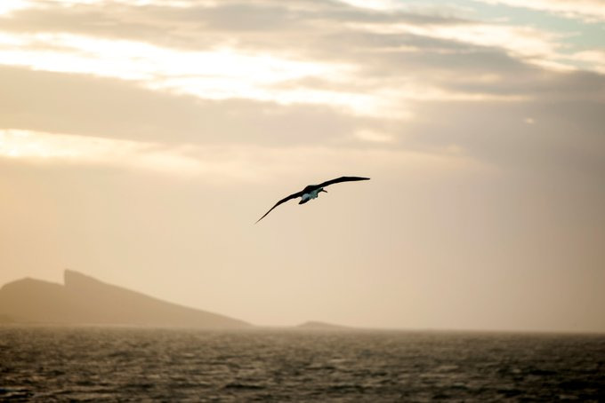 回程图片 回程图片