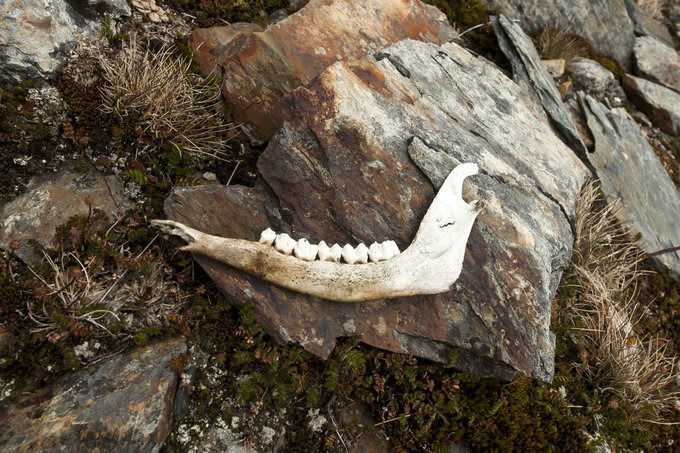 Godthul峡湾图片 Godthul峡湾图片