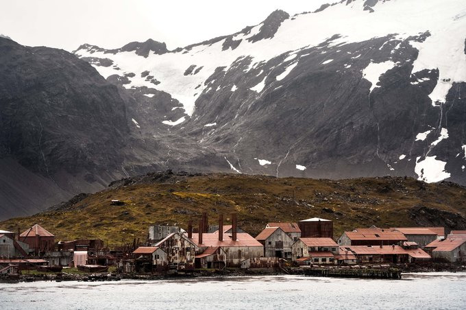 Leith Harbour图片 Leith Harbour图片