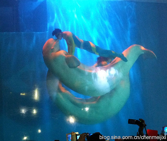 浪漫的天使之吻,永恒的海洋之心,您也会沉醉