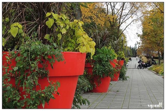 魁北克省议会大厦