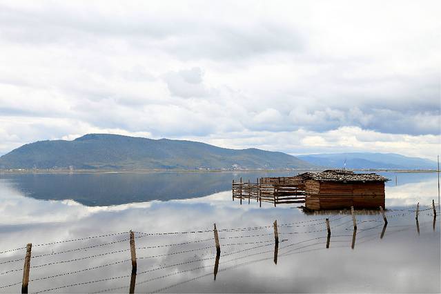 纳帕海(依拉草原)