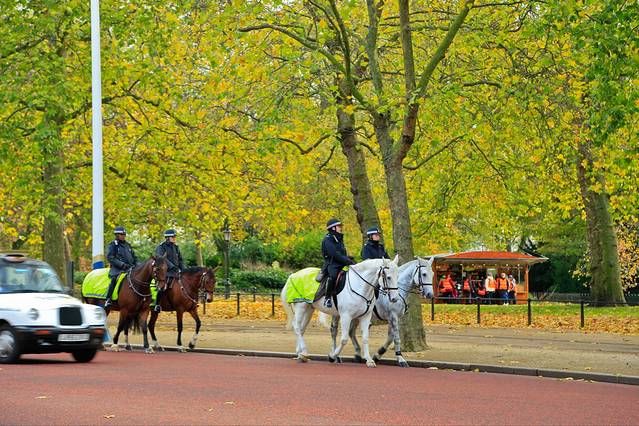 皇家骑兵卫队阅兵