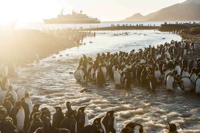 圣安德鲁斯海湾图片 圣安德鲁斯海湾图片