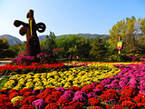 北京旅游景点攻略图片