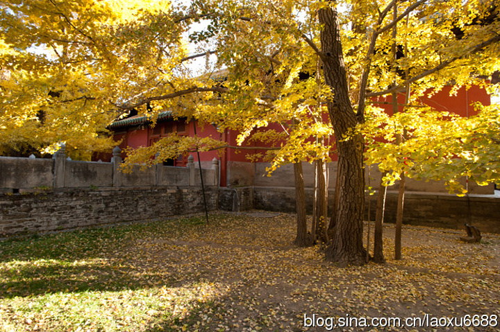 "大觉寺，又称大觉禅寺，西山大觉寺，是位于北京西郊阳台山（旸台山）南麓的一座千年古刹，以清泉、古..._大觉寺"的评论图片