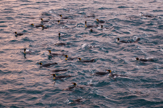 Salisbury Plain图片 Salisbury Plain图片