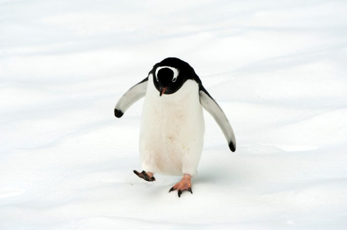 Orne Harbour图片 Orne Harbour图片