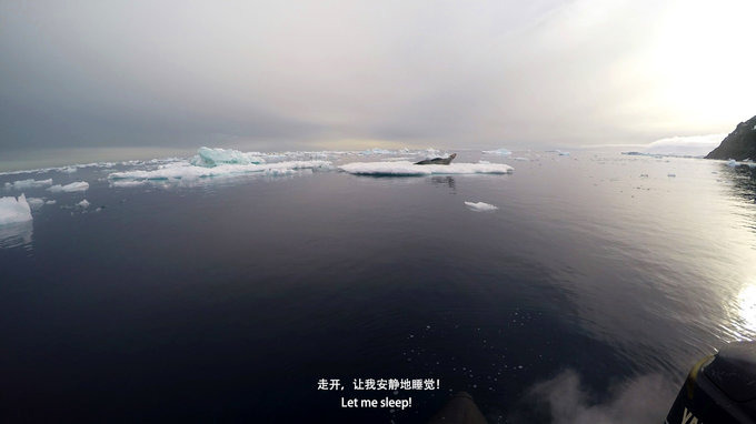 Paulet Island图片 Paulet Island图片