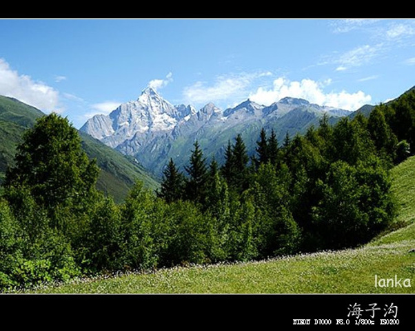 "美丽的雪山…小绾承认这里的确是“东方的阿尔卑斯”“美丽的川西高原”…四姑娘山“蜀山之后”的美..._四姑娘山海子沟风景区"的评论图片