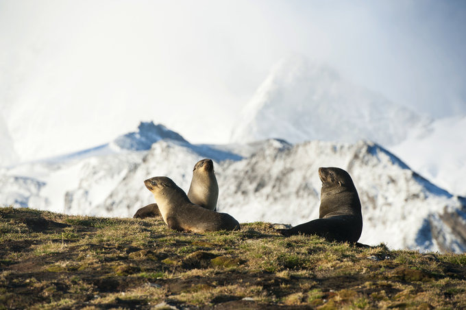 圣安德鲁斯海湾图片 圣安德鲁斯海湾图片
