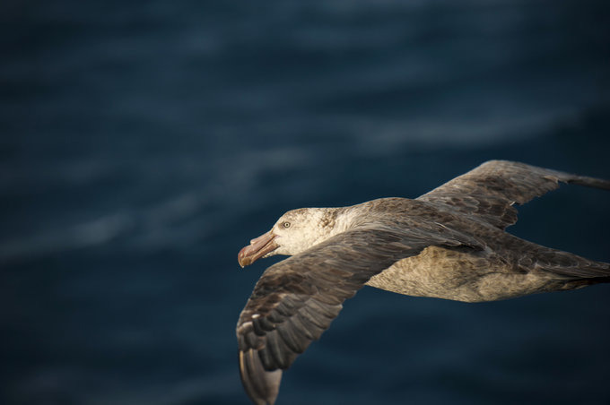 在海上图片 在海上图片