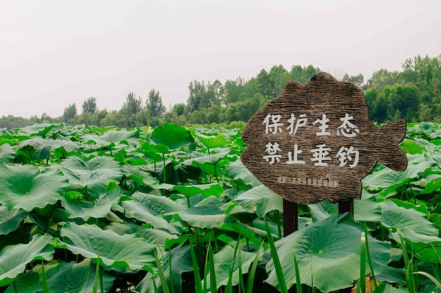 三圣花乡旅游区