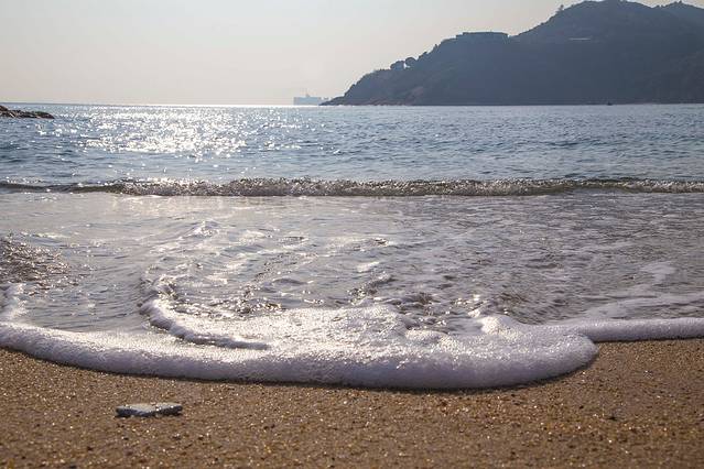 大都市里的小清新--香港完全攻略