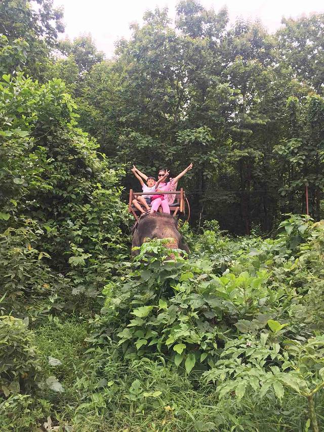 白雪瀑布滑索、骑象