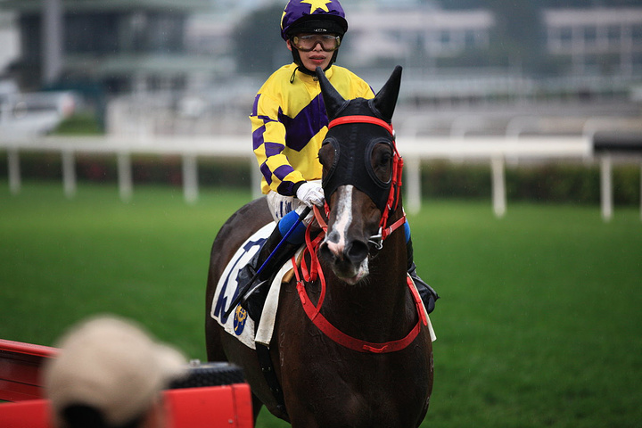 2017跑马地一般每周三晚上举行赛赛_沙田马场