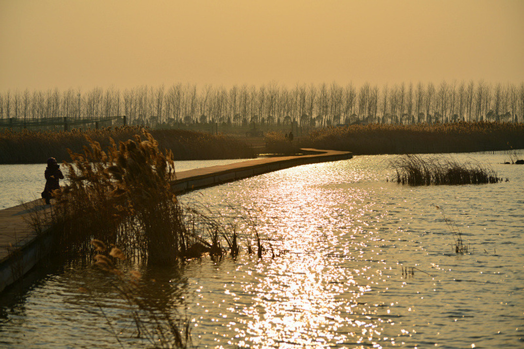 盐城丹顶鹤园小游