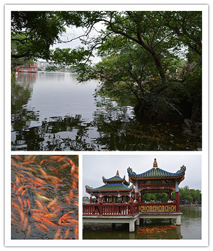 中山公园旅游景点攻略图