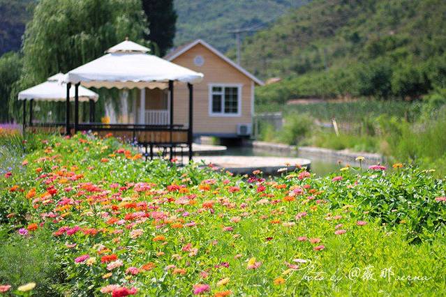 密云人间花海薰衣草庄园