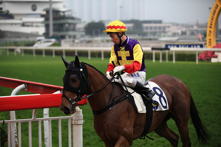 2017跑马地一般每周三晚上举行赛赛_沙田马场