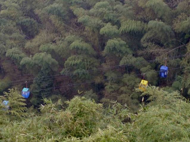 蜀南竹海观海楼