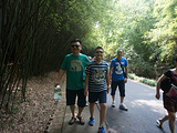 成都旅游景点攻略图片