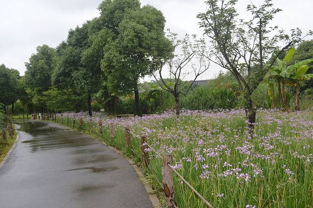 贵州黔东南旅游攻略