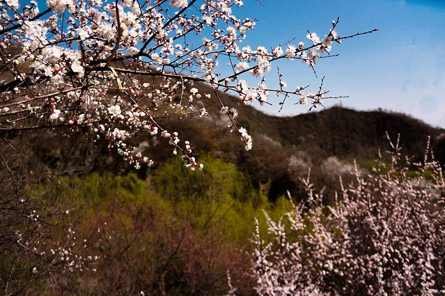 桃源仙谷自然风景区