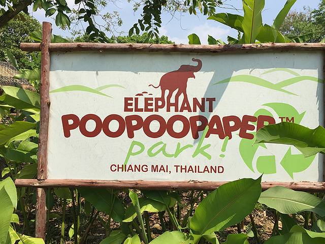 清迈大象噗噗造纸公园