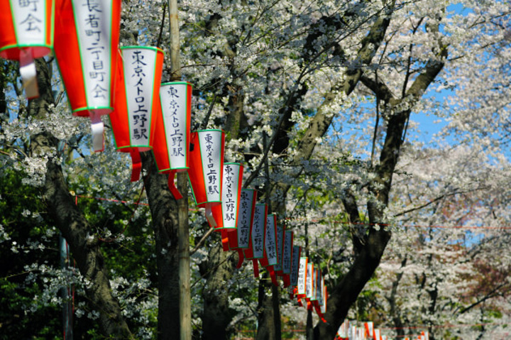 21对上野恩赐公园的感受就是日本人民太幸福了这样一个仿若上天恩赐的公园散步聚会闲走发呆 上野公园 评论 去哪儿攻略