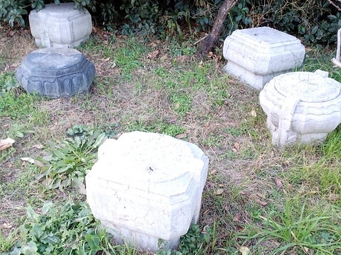 白马公园旅游景点图片
