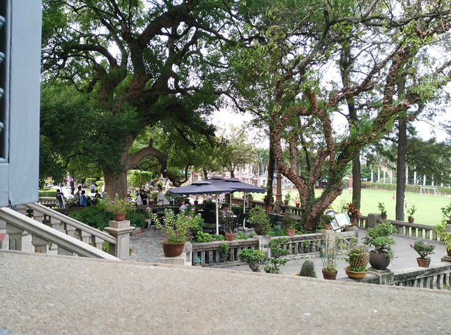 20元一杯,说真的真心觉得一般,只是酸奶很滑加上果粒马拉桑的果汁,15