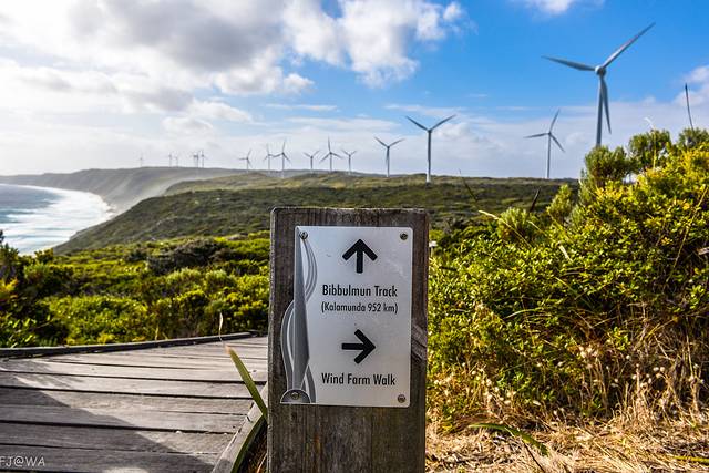 奥尔巴尼风力发电厂